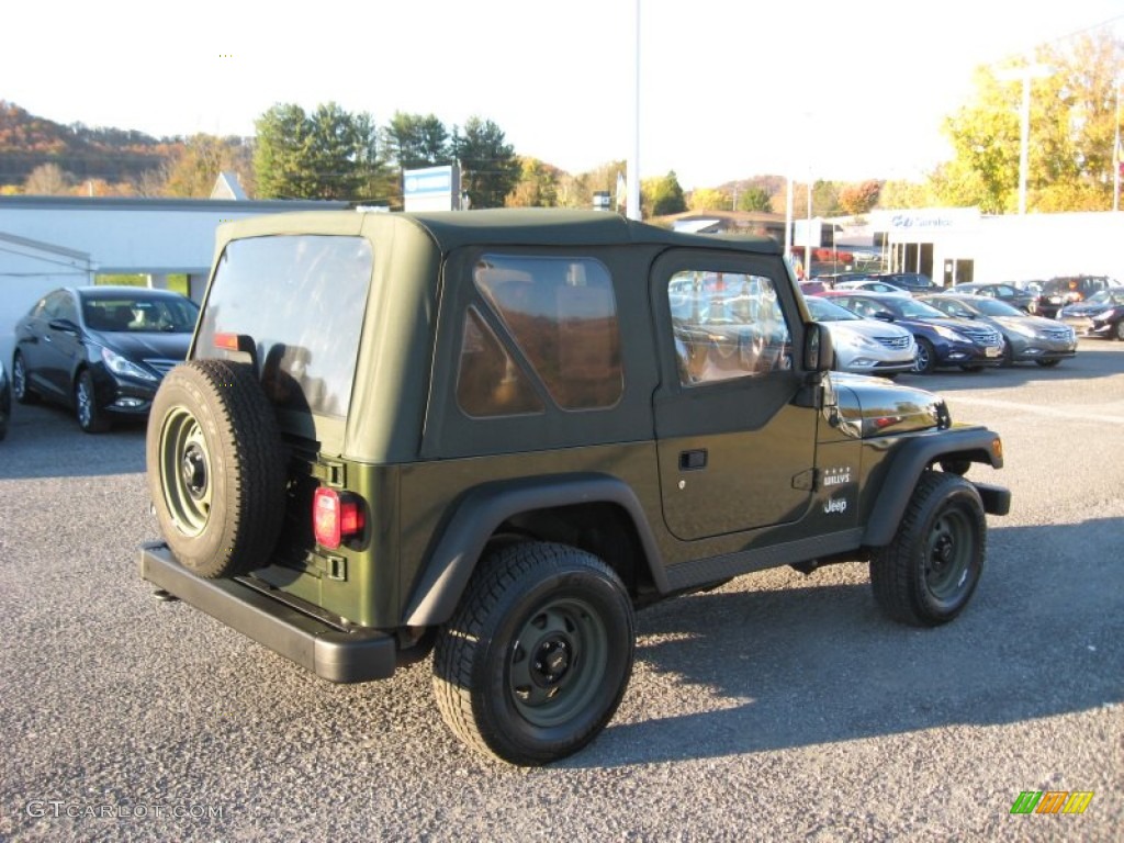 2004 Wrangler X 4x4 - Moss Green Pearlcoat / Dark Slate Gray photo #8