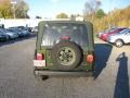 2004 Moss Green Pearlcoat Jeep Wrangler X 4x4  photo #9