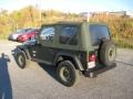 2004 Moss Green Pearlcoat Jeep Wrangler X 4x4  photo #10