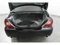 2008 Jaguar XJ Champagne/Charcoal Interior Trunk Photo