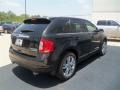 2013 Tuxedo Black Metallic Ford Edge Limited EcoBoost  photo #5