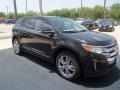 2013 Tuxedo Black Metallic Ford Edge Limited EcoBoost  photo #28