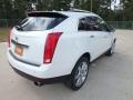 Platinum Ice Tricoat - SRX V6 Photo No. 5