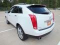 Platinum Ice Tricoat - SRX V6 Photo No. 7