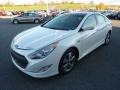 Porcelain White Pearl - Sonata Hybrid Photo No. 3