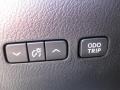 2010 Tungsten Silver Pearl Lexus RX 450h AWD Hybrid  photo #12