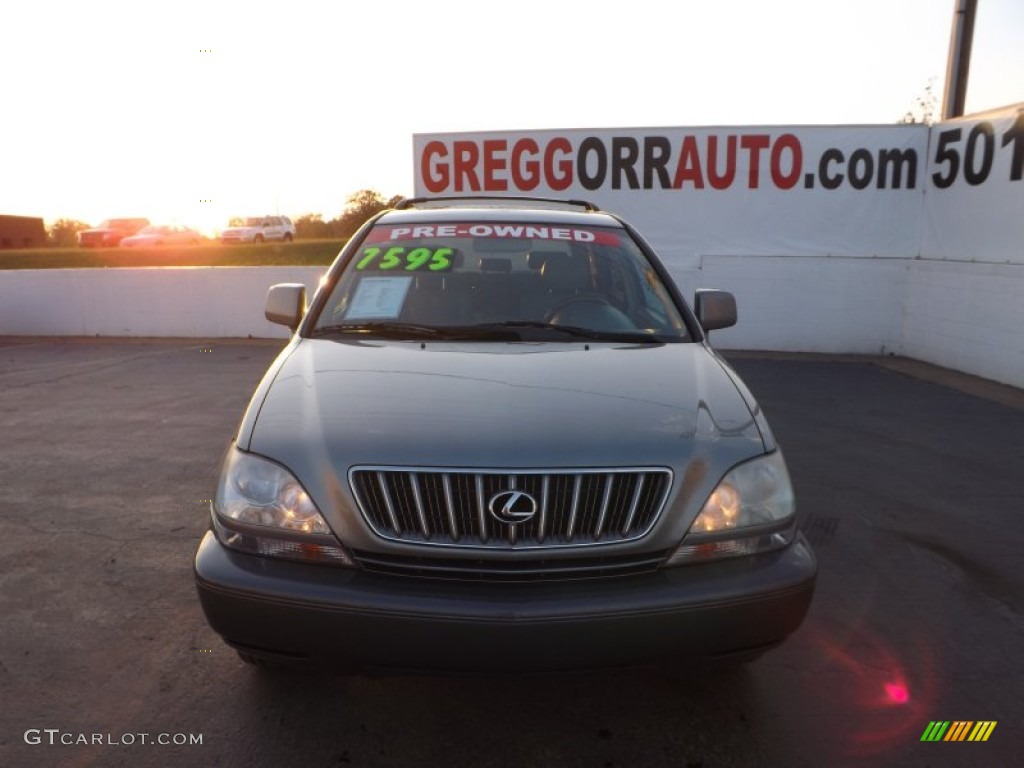 2001 RX 300 - Blue Vapor Metallic / Ivory photo #2