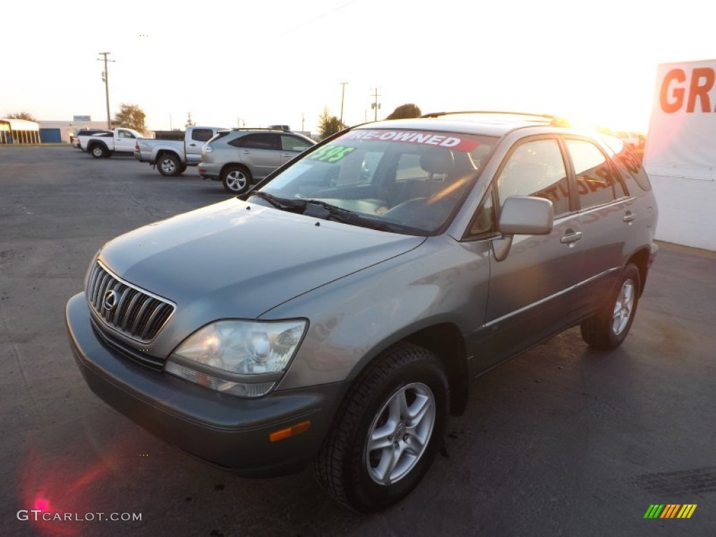 2001 RX 300 - Blue Vapor Metallic / Ivory photo #3