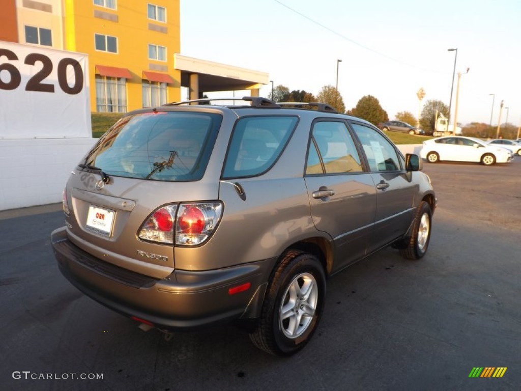 2001 RX 300 - Blue Vapor Metallic / Ivory photo #6