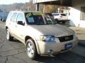 Dune Pearl Metallic - Escape Hybrid 4WD Photo No. 2