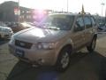 Dune Pearl Metallic - Escape Hybrid 4WD Photo No. 4