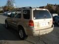Dune Pearl Metallic - Escape Hybrid 4WD Photo No. 6