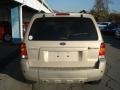 Dune Pearl Metallic - Escape Hybrid 4WD Photo No. 7