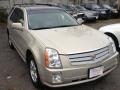 Gold Mist - SRX V6 Photo No. 3