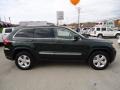 2011 Natural Green Pearl Jeep Grand Cherokee Laredo X Package 4x4  photo #6