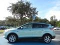 2013 Frosted Glass Metallic Ford Escape SEL 2.0L EcoBoost  photo #2