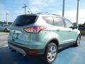 2013 Frosted Glass Metallic Ford Escape SEL 2.0L EcoBoost  photo #3