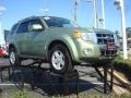 Kiwi Green Metallic 2008 Ford Escape Hybrid