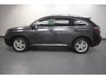 2010 Smokey Granite Mica Lexus RX 450h AWD Hybrid  photo #2