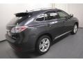 2010 Smokey Granite Mica Lexus RX 450h AWD Hybrid  photo #11