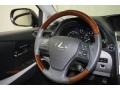 2010 Smokey Granite Mica Lexus RX 450h AWD Hybrid  photo #35