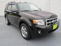2009 Black Ford Escape XLT V6  photo #1