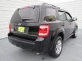 2009 Black Ford Escape XLT V6  photo #3