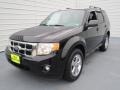 2009 Black Ford Escape XLT V6  photo #6