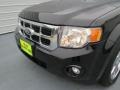 2009 Black Ford Escape XLT V6  photo #9