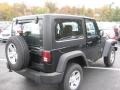 Black - Wrangler Sport 4x4 Photo No. 3