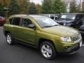 Rescue Green Metallic - Compass Latitude 4x4 Photo No. 2
