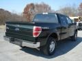 2013 Green Gem Metallic Ford F150 XLT SuperCrew 4x4  photo #8