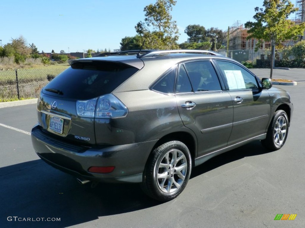 2009 RX 350 Pebble Beach Edition - Truffle Mica / Parchment photo #4