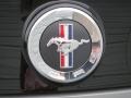 2013 Sterling Gray Metallic Ford Mustang V6 Coupe  photo #11