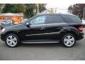 Black - ML 350 4Matic Photo No. 2