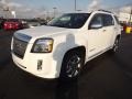 Summit White - Terrain Denali Photo No. 1