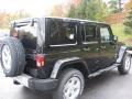 Black - Wrangler Unlimited Sahara 4x4 Photo No. 3
