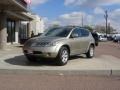 2007 Chardonnay Metallic Nissan Murano SL AWD  photo #16