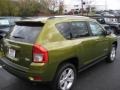 Rescue Green Metallic - Compass Latitude 4x4 Photo No. 3