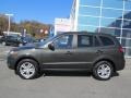 2010 Black Forest Green Metallic Hyundai Santa Fe SE 4WD  photo #2