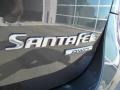 2010 Black Forest Green Metallic Hyundai Santa Fe SE 4WD  photo #9