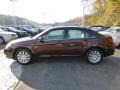 Deep Auburn Pearl - 200 Touring Sedan Photo No. 2
