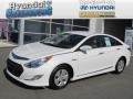 Porcelain White Pearl - Sonata Hybrid Photo No. 1