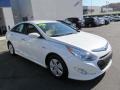 Porcelain White Pearl - Sonata Hybrid Photo No. 5
