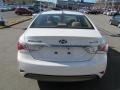 Porcelain White Pearl - Sonata Hybrid Photo No. 7