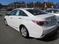 Porcelain White Pearl - Sonata Hybrid Photo No. 8
