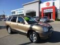 2004 Sandstone Hyundai Santa Fe GLS 4WD  photo #1