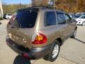 2004 Sandstone Hyundai Santa Fe GLS 4WD  photo #3