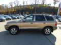 2004 Sandstone Hyundai Santa Fe GLS 4WD  photo #6