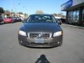Oyster Gray Metallic - S80 3.2 Photo No. 4